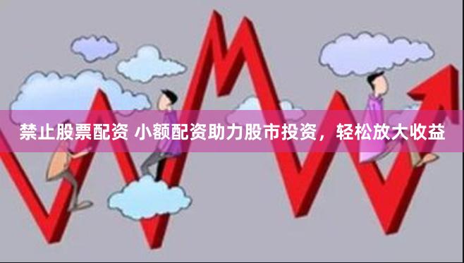禁止股票配资 小额配资助力股市投资，轻松放大收益