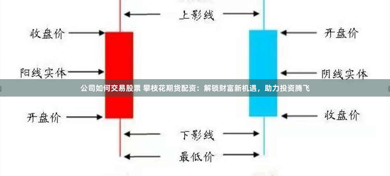 公司如何交易股票 攀枝花期货配资：解锁财富新机遇，助力投资腾飞