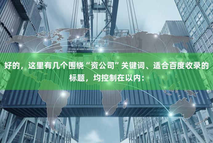 好的，这里有几个围绕“资公司”关键词、适合百度收录的标题，均控制在以内：