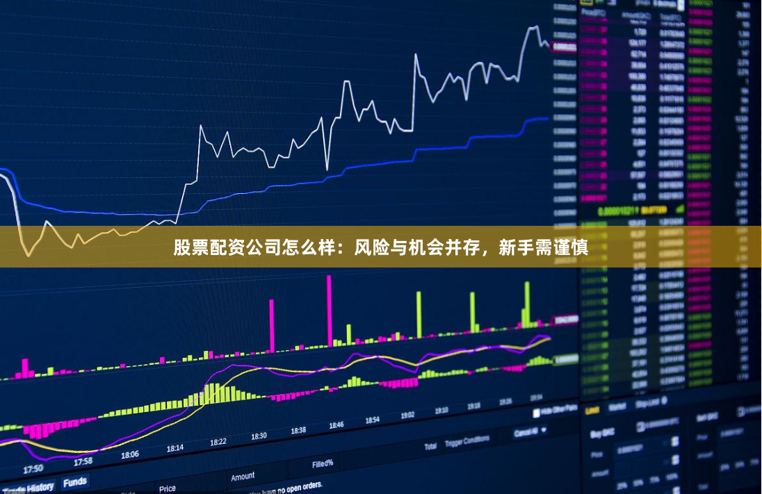 股票配资公司怎么样：风险与机会并存，新手需谨慎